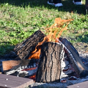 ziemniak-prochowice-fot-zjak80.JPG