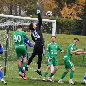 gornik-miedz2-pp=fot-ewajak020.JPG
