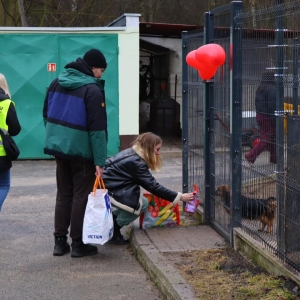 walentynki-schronisko-fot-UM0160 (1).jpg