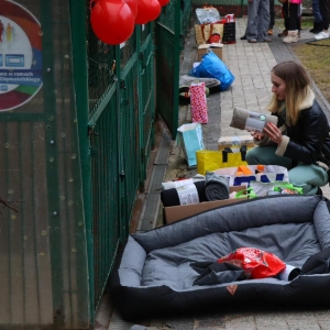 walentynki-schronisko-fot-UM0160 (6).jpg