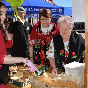 festiwal-folkor-proch-fot-ewajak034.jpg