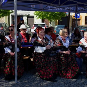 festiwal-folkor-proch-fot-ewajak047.jpg