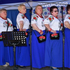 festiwal-folkor-proch-fot-ewajak091.jpg