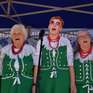 festiwal-folkor-proch-fot-ewajak207.jpg