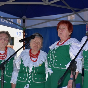 festiwal-folkor-proch-fot-ewajak211.jpg