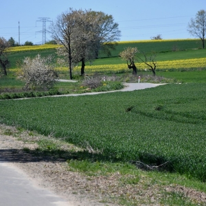 otwarcie-sciezki-fot-zjak071.jpg