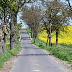 otwarcie-sciezki-fot-zjak124.jpg