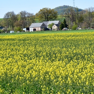 otwarcie-sciezki-fot-zjak125.jpg
