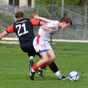 kochlice-grebicice-fot-ewajak006.jpg