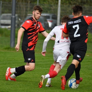 kochlice-grebicice-fot-ewajak021.jpg
