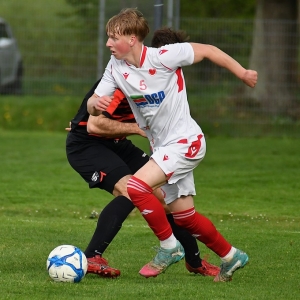 kochlice-grebicice-fot-ewajak025.jpg