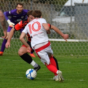 kochlice-grebicice-fot-ewajak031.jpg