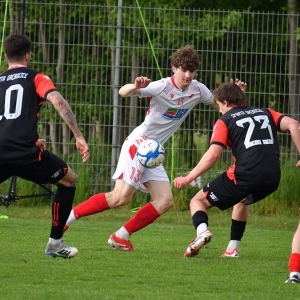kochlice-grebicice-fot-ewajak043.jpg