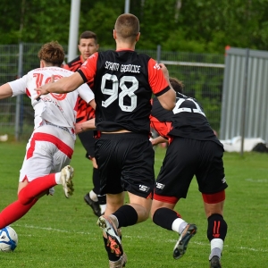 kochlice-grebicice-fot-ewajak049.jpg