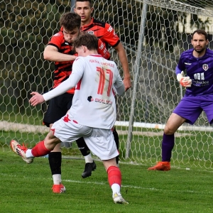kochlice-grebicice-fot-ewajak052.jpg