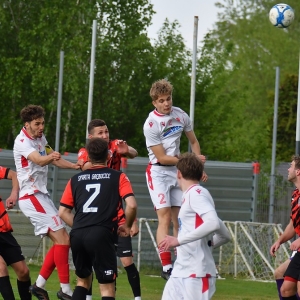 kochlice-grebicice-fot-ewajak054.jpg