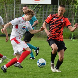 kochlice-grebicice-fot-ewajak065.jpg