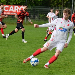 kochlice-grebicice-fot-ewajak070.jpg