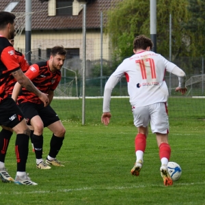 kochlice-grebicice-fot-ewajak074.jpg