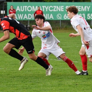 kochlice-grebicice-fot-ewajak088.jpg