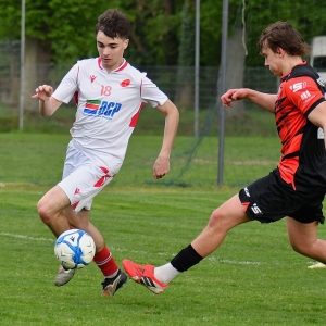 kochlice-grebicice-fot-ewajak113.jpg