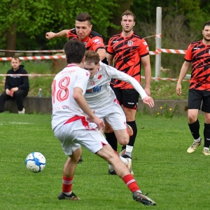 kochlice-grebicice-fot-ewajak133.jpg
