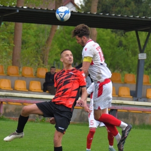 kochlice-grebicice-fot-ewajak144.jpg