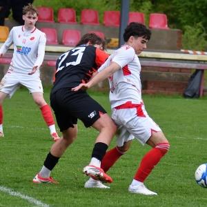 kochlice-grebicice-fot-ewajak155.jpg