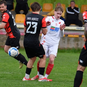 kochlice-grebicice-fot-ewajak156.jpg