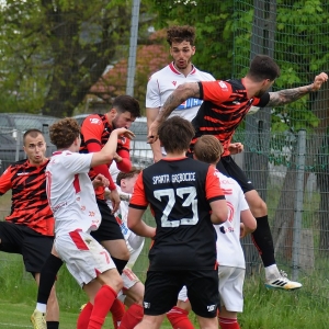 kochlice-grebicice-fot-ewajak175.jpg