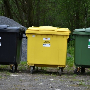 psie-sprzatanie-fot-zjak65.jpg