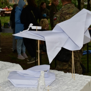piknik-wojskowy-fot-ewajak159.jpg