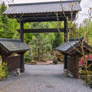 ogrod-japonski-fot-ewajak20.jpg