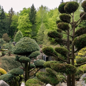 ogrod-japonski-fot-ewajak24.jpg