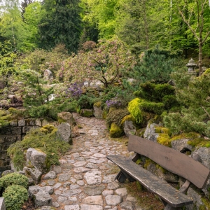 ogrod-japonski-fot-ewajak30.jpg