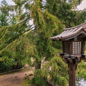 ogrod-japonski-fot-ewajak42.jpg