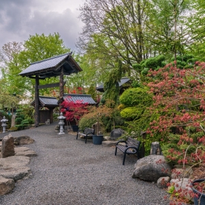 ogrod-japonski-fot-ewajak49.jpg