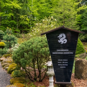 ogrod-japonski-fot-ewajak50.jpg