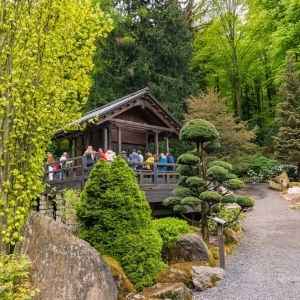ogrod-japonski-fot-ewajak51.jpg