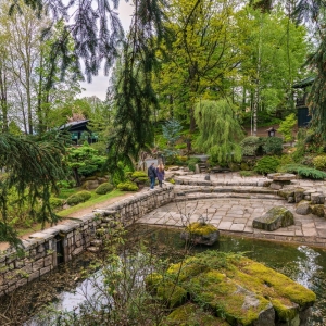 ogrod-japonski-fot-ewajak64.jpg