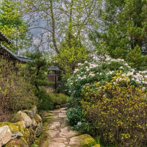 ogrod-japonski-fot-ewajak65.jpg