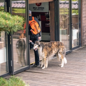 ogrod-japonski-fot-ewajak69.jpg