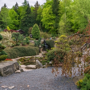 ogrod-japonski-fot-ewajak78.jpg