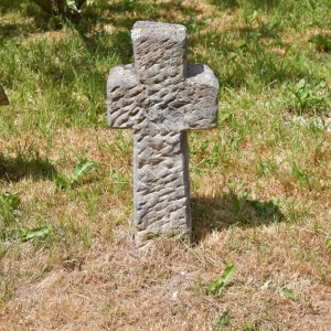 czaple-targ-fot-zjak40.jpg