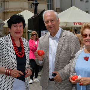 senyszyn-w-legnicy-fot-zjak52.jpg