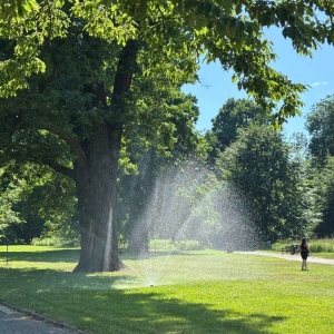 dni-legnicy-fot-lck02.jpg