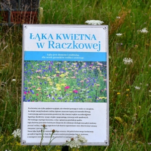 raczkowa-kgw-fot-zjak003.jpg