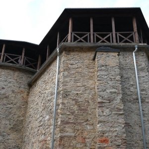 animus-plukanie-zlota-fot-zjak063.jpg