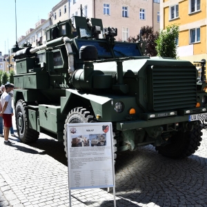 swieto_wojska_polskiego_fot_dawid_soltys003.JPG