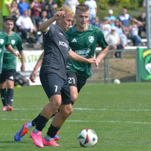wilkow-jawor-fot-marcin-juszczyk31.jpg